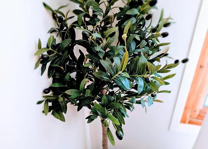 Paradis Cotier 6 Couchages * Antibes